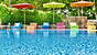 Skiathos Alkyon with Half-Board offers