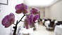 Parigi Hotel Lebron costiero offerte