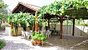Thassos Pension Sotiria with Half-Board offers