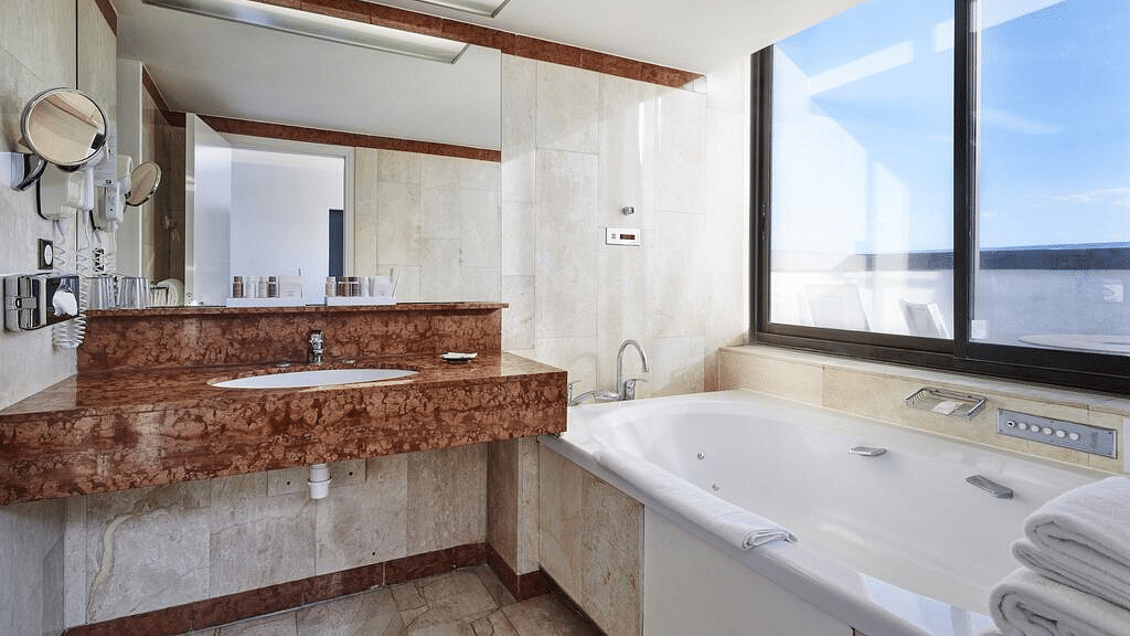 Φωτογραφία μπάνιου Holiday Inn Nice