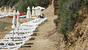 Φωτογραφία κοινόχρηστου χώρου Alonnisos Beach 4*