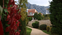 Πάλαιρος Thalassa Hotel & Spa all inclusive προσφορές
