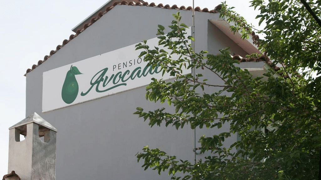 Skiathos Avocado Skiathos with Bed and Breakfast offers