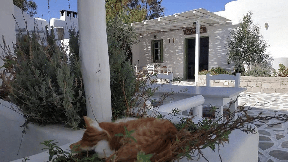 Milos Thalassitra Village Hotel con colazione offerte