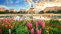 Bucharest airline tickets cheap