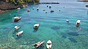 Alonnisos trips prices