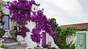 Alonnisos trips offers